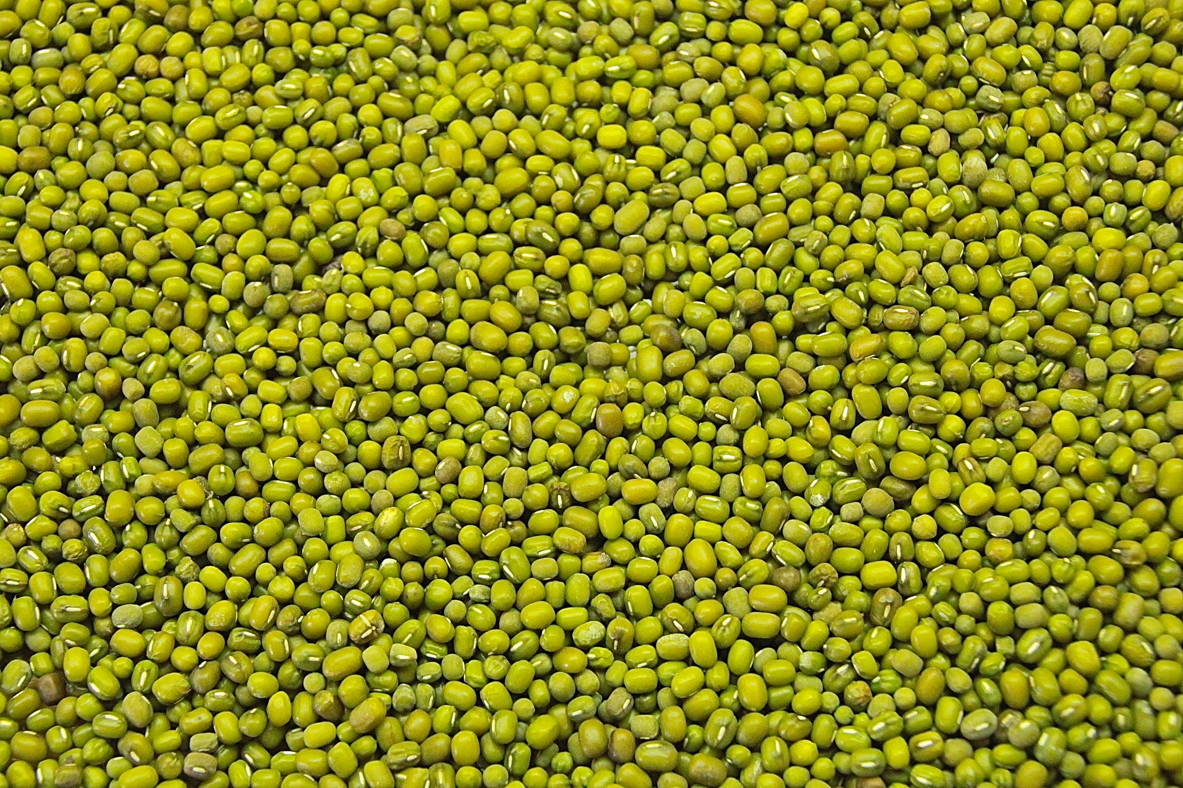 Green-Mung-Beans.jpg