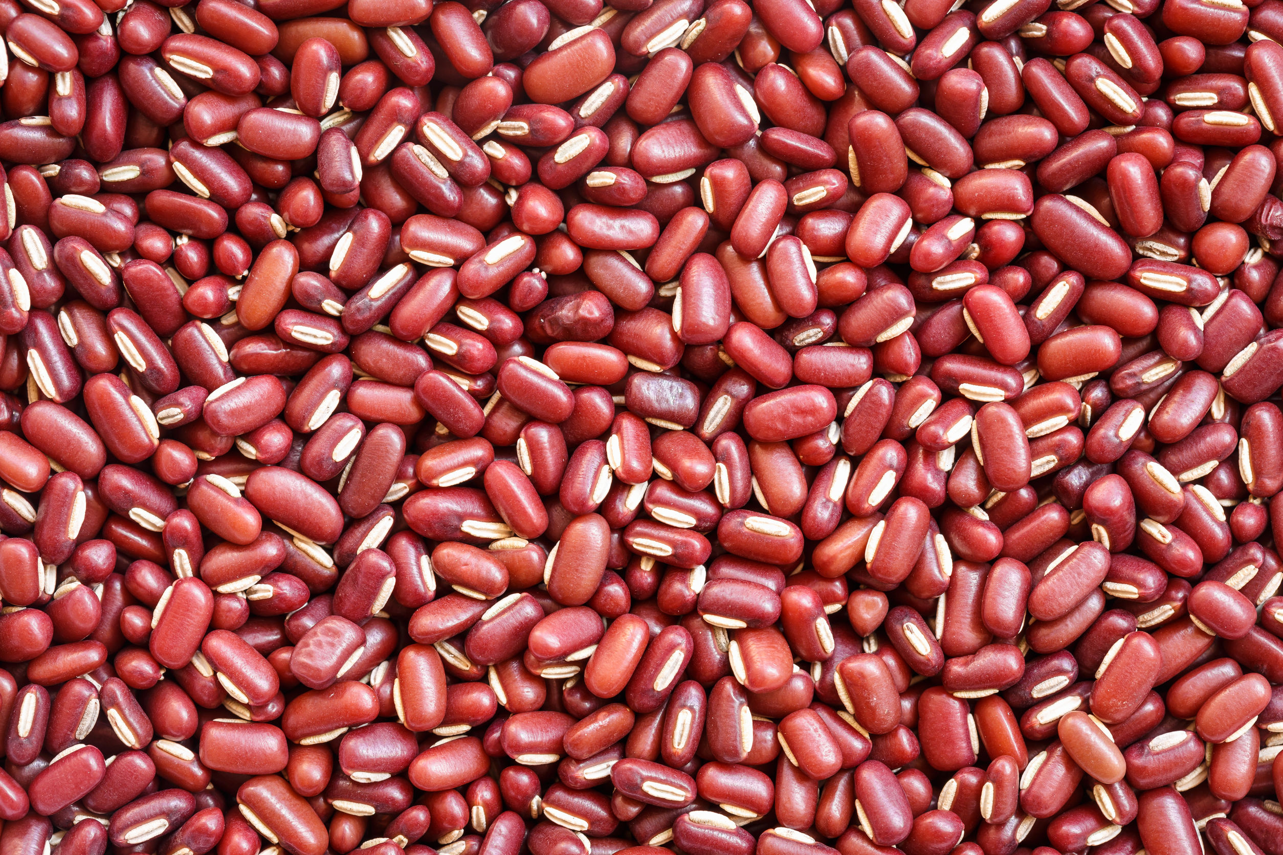 Red-bamboo-beans.jpg