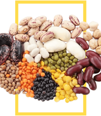 beans-center-bg-1.png