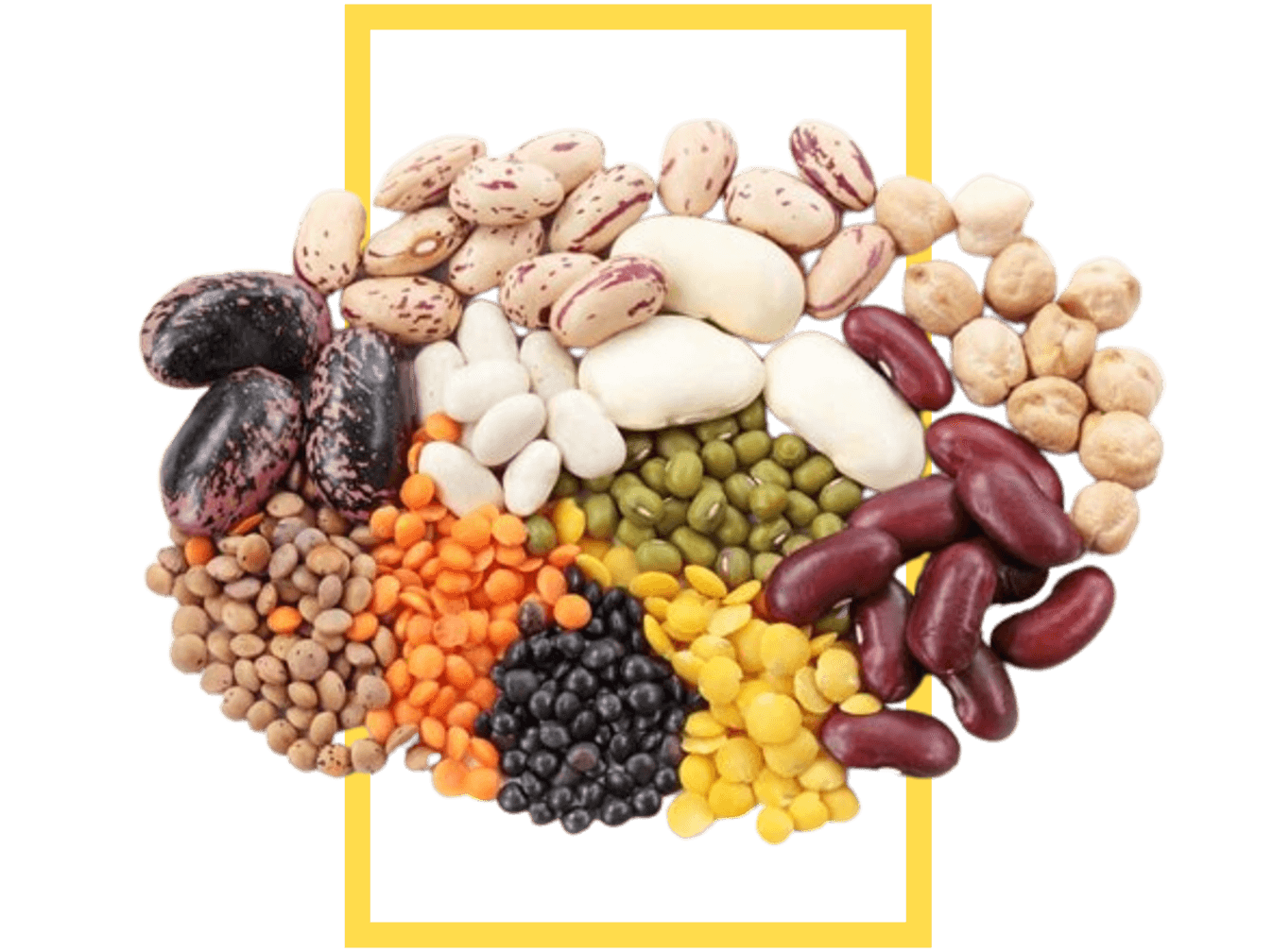 beans-center-bg-1.png