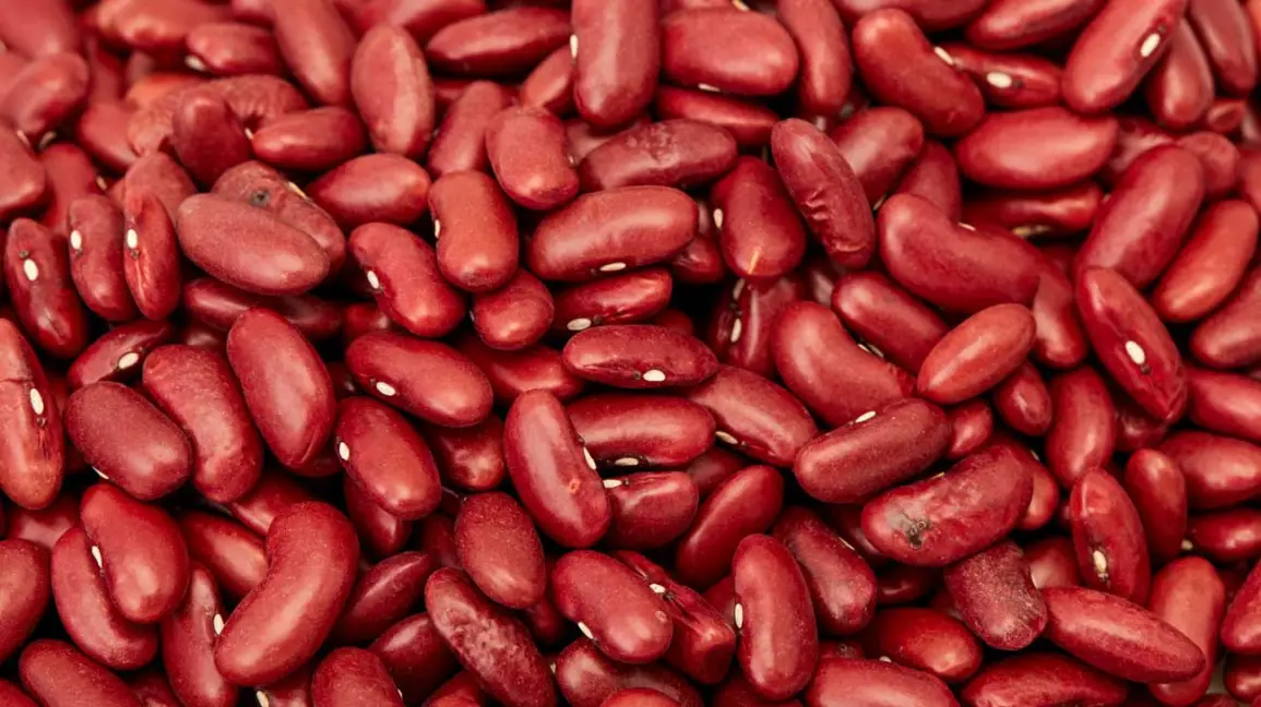 red-kidney-beans.webp